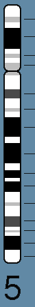 chr5